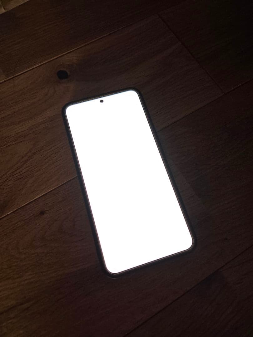 Samsung Galaxy S24 本体