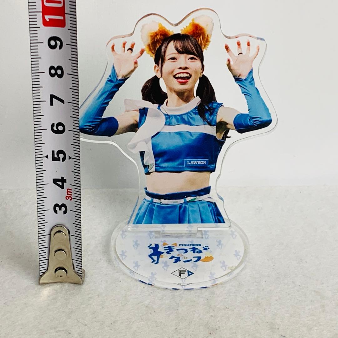 塩澤美咲 日本ハムファイターズガール　アクスタ＆アクキー グッズセット