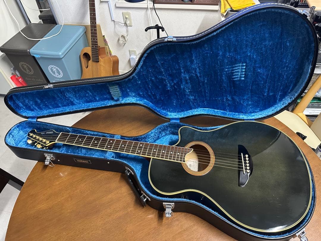 ド*ー様 YAMAHA APX-8S 長渕剛氏