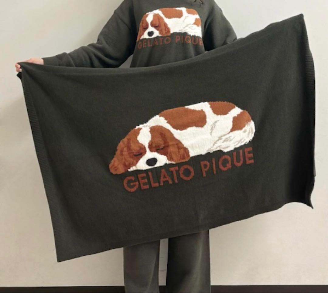 ジェラートピケ SLEEPING DOG ジャガードブランケット キャバリア