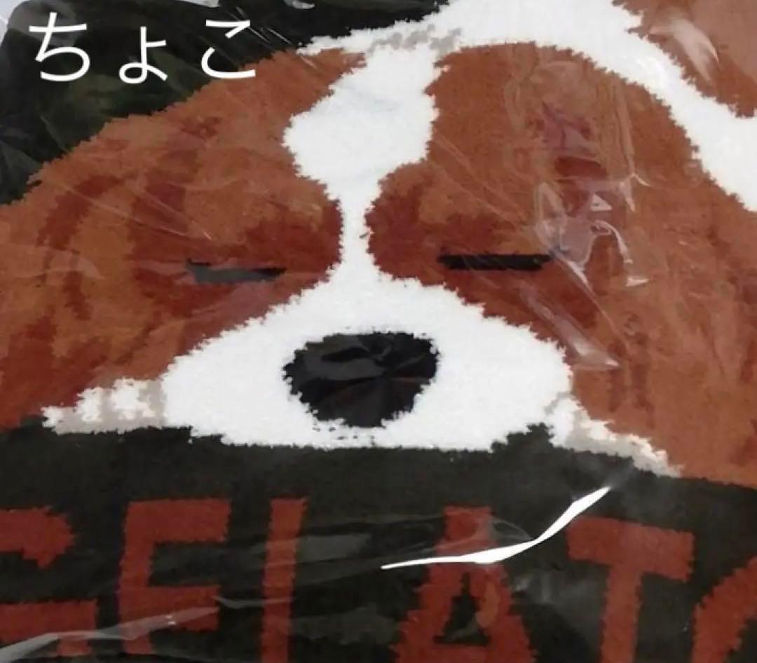 ジェラートピケ SLEEPING DOG ジャガードブランケット キャバリア