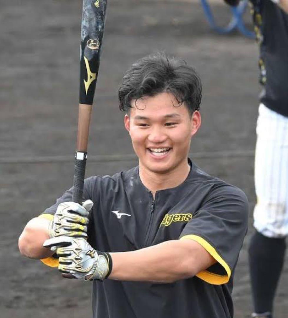<激レア>阪神タイガース森下選手実使用　 硬式木製バット