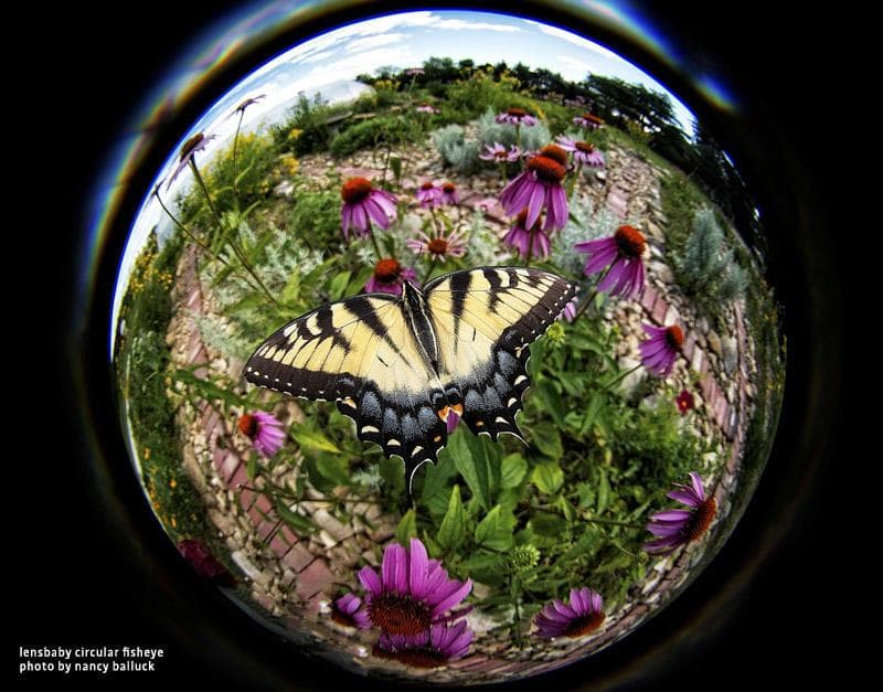 15246E 新品 未使用 レンズベビー 5.8mm F3.5 LENSBABY