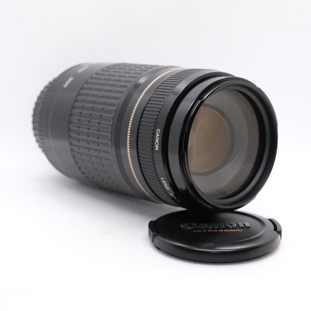 ✨美品✨超望遠✨イベントに Canon EF75-300㎜ 望遠レンズ