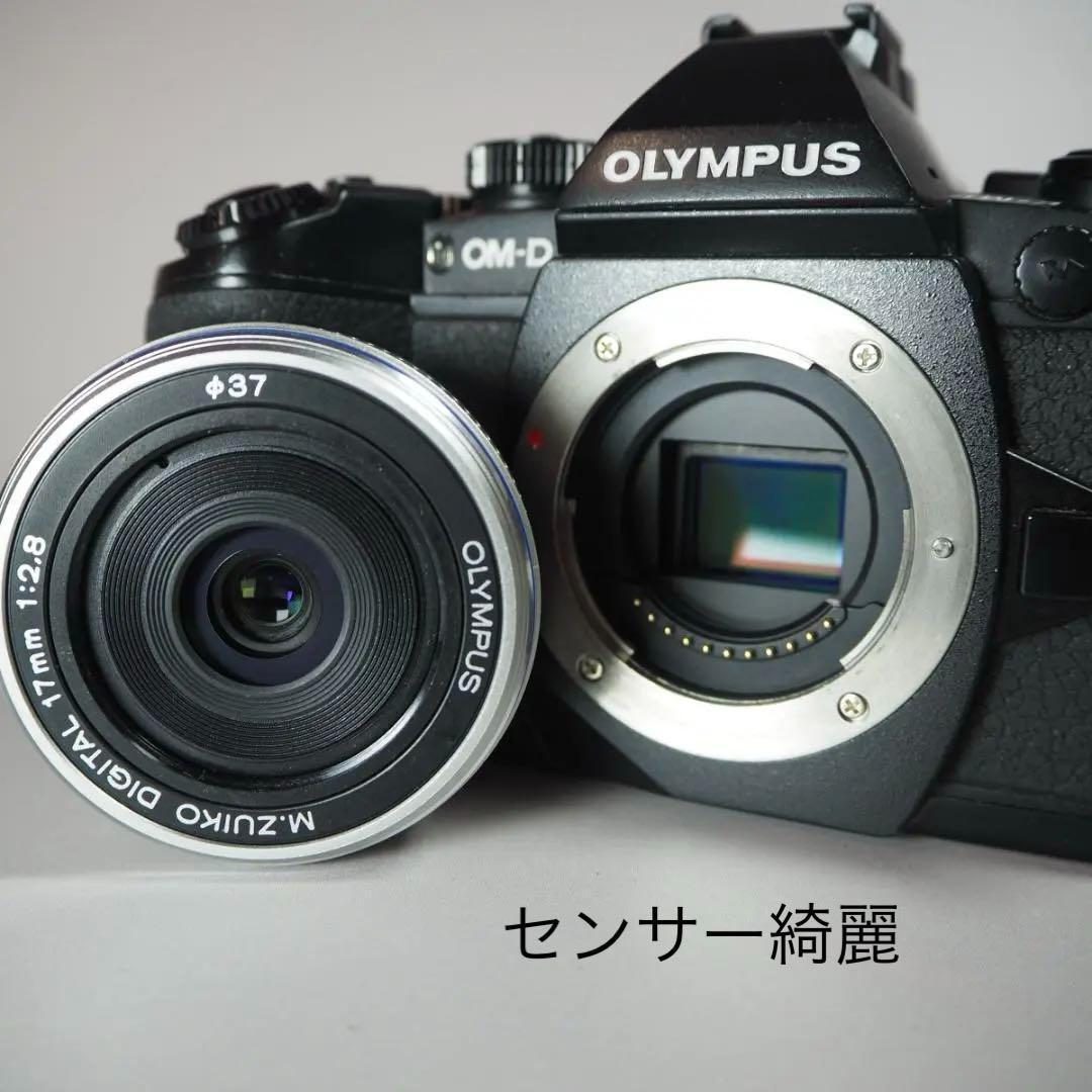 ☆美品☆ショット16,412回　OLYMPUS OM-D E-M1 ＃248