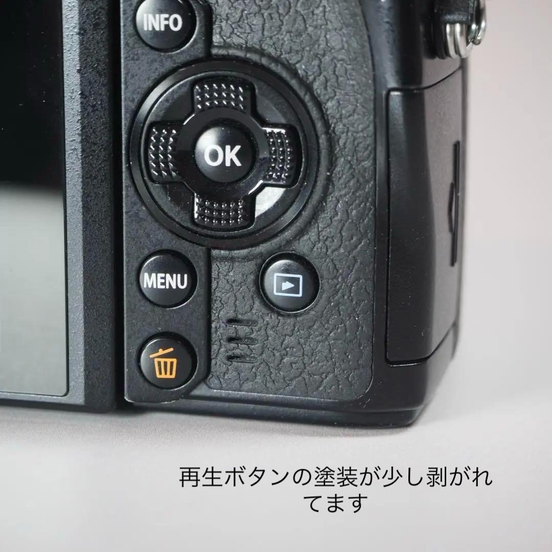 ☆美品☆ショット16,412回　OLYMPUS OM-D E-M1 ＃248