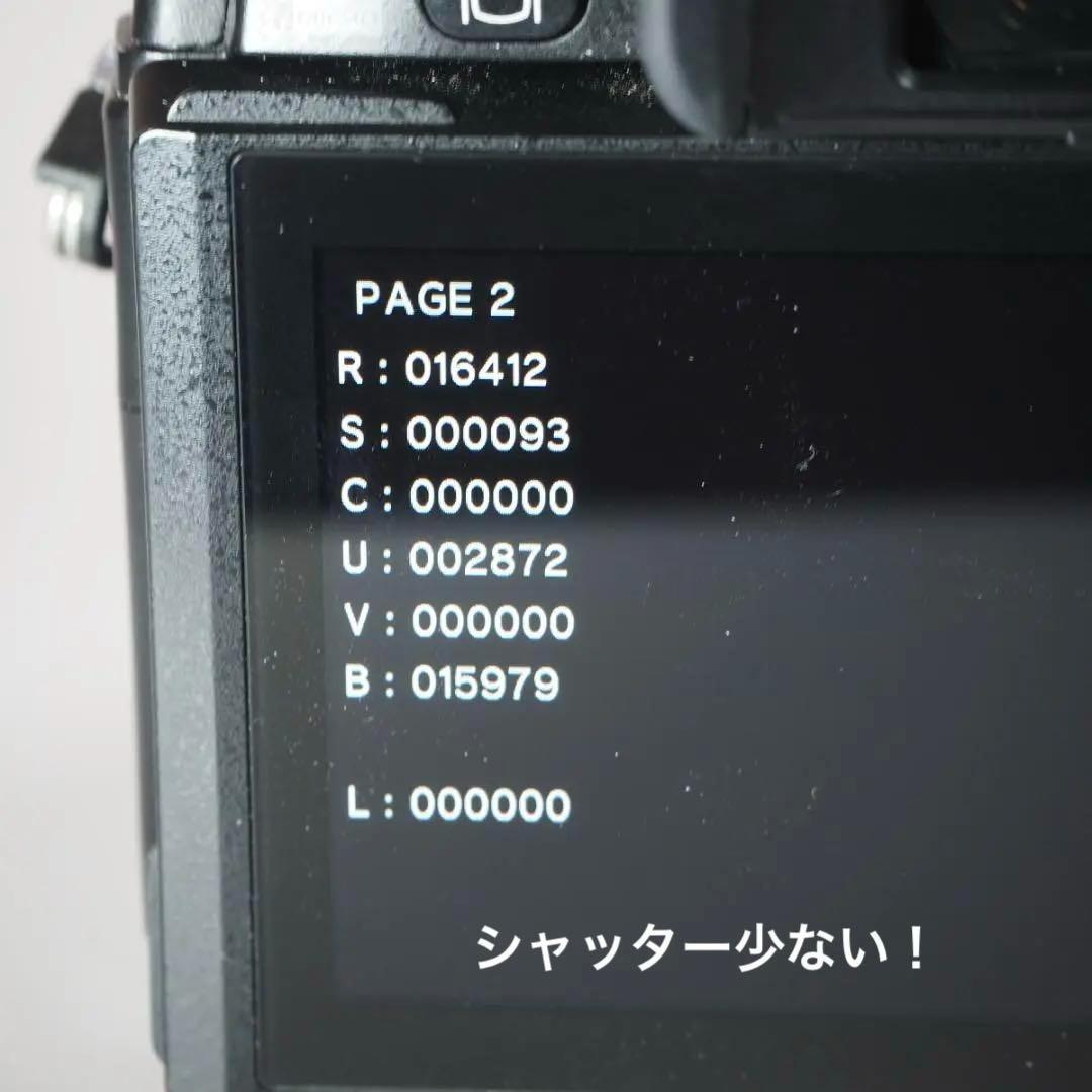 ☆美品☆ショット16,412回　OLYMPUS OM-D E-M1 ＃248