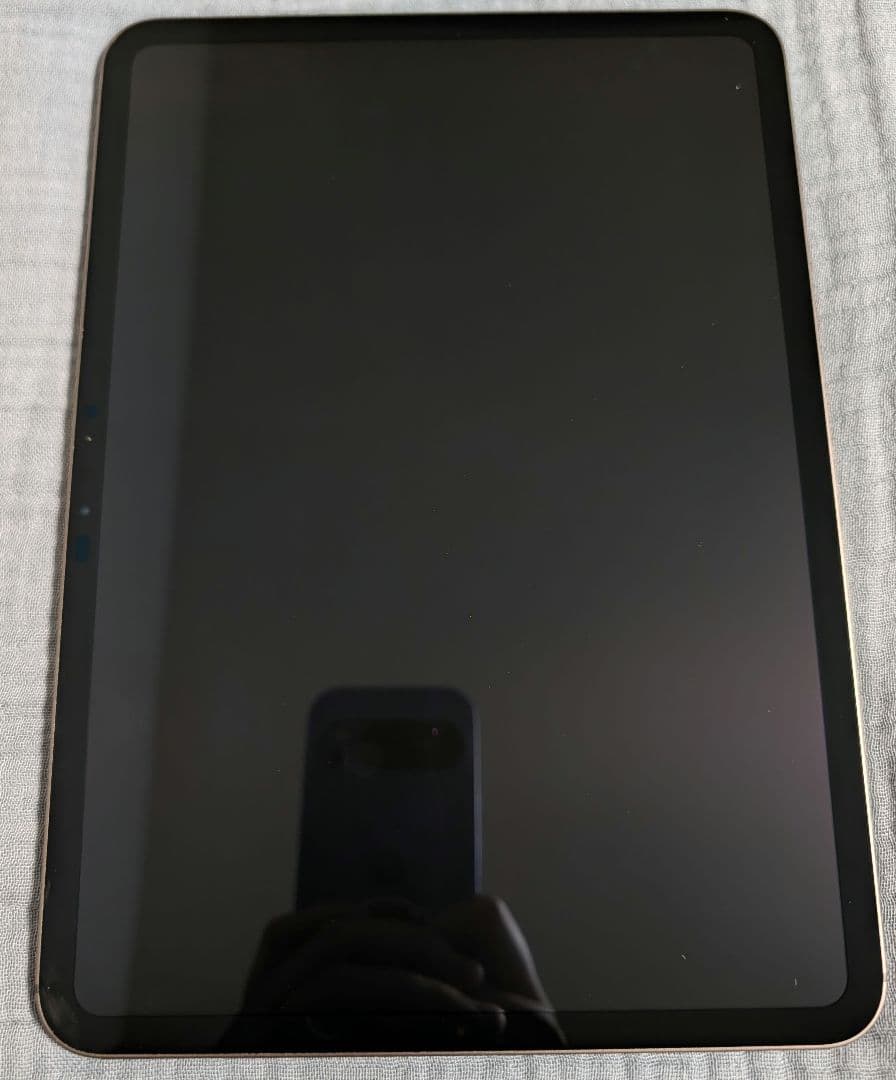 【バッテリー100%】iPad Pro M4 256GB スペースブラック