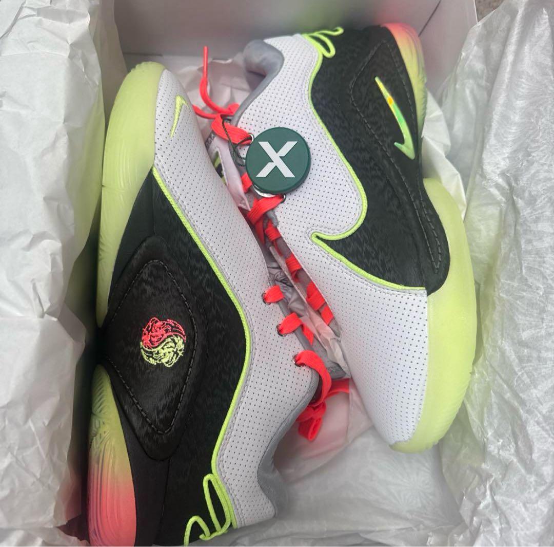 新品未使用　海外限定　ナイキ レブロン 22 EP