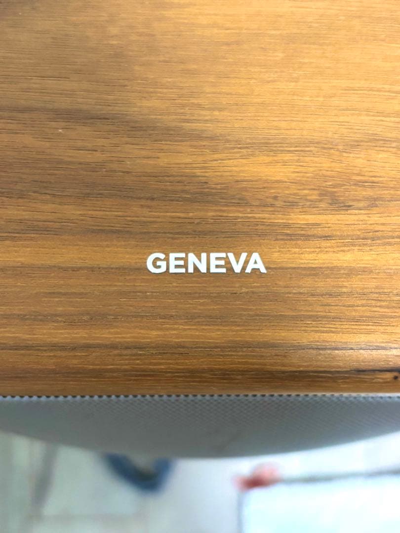 GENEVA スタンド付きスピーカー L ウォールナット