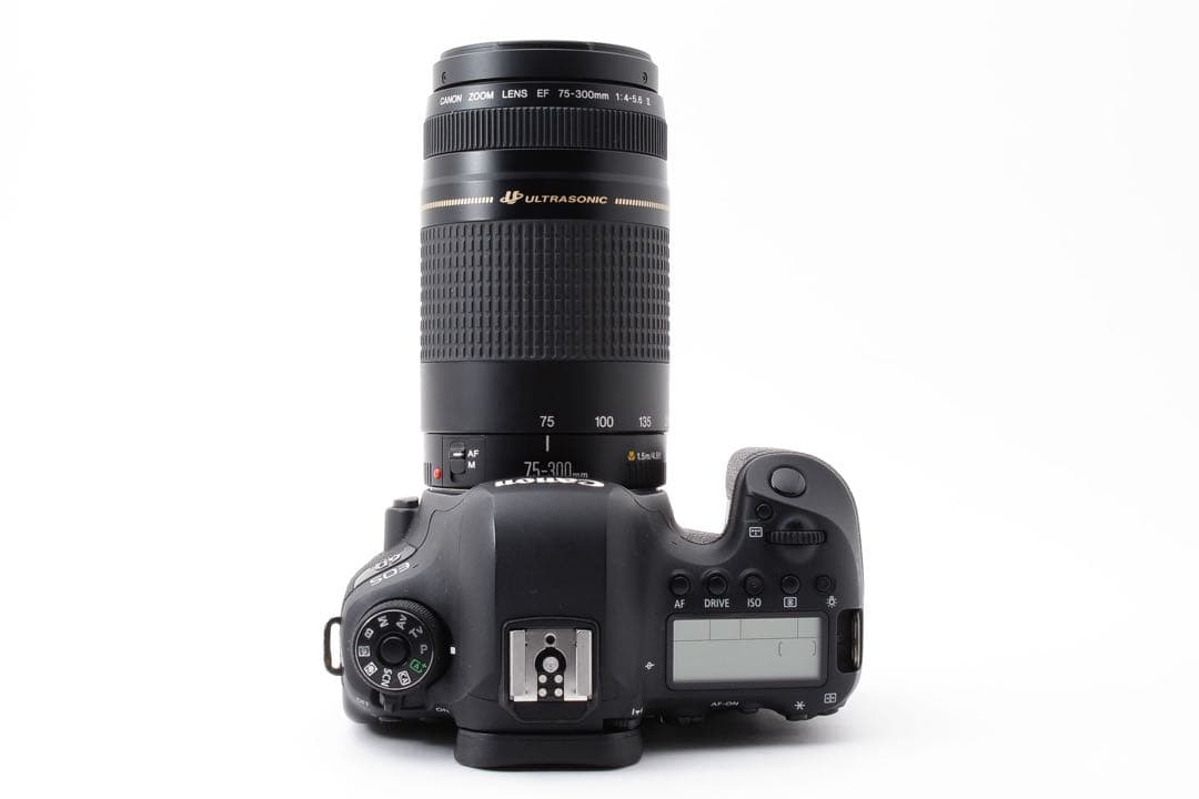 保証付/一眼レフカメラCanon EOS 6D Mark II 望遠レンズセット