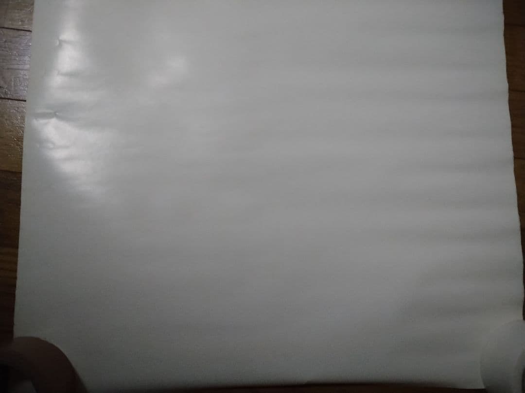 ぶ*い様 ロックマンX8 ポスター