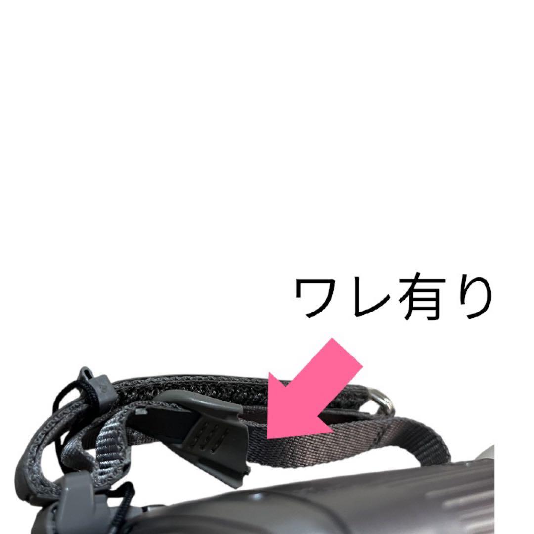 Panasonic NV-GS250 mini DV ビデオカメラ