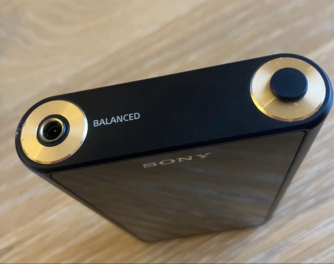 よ*う様 SONY NW-WM1A