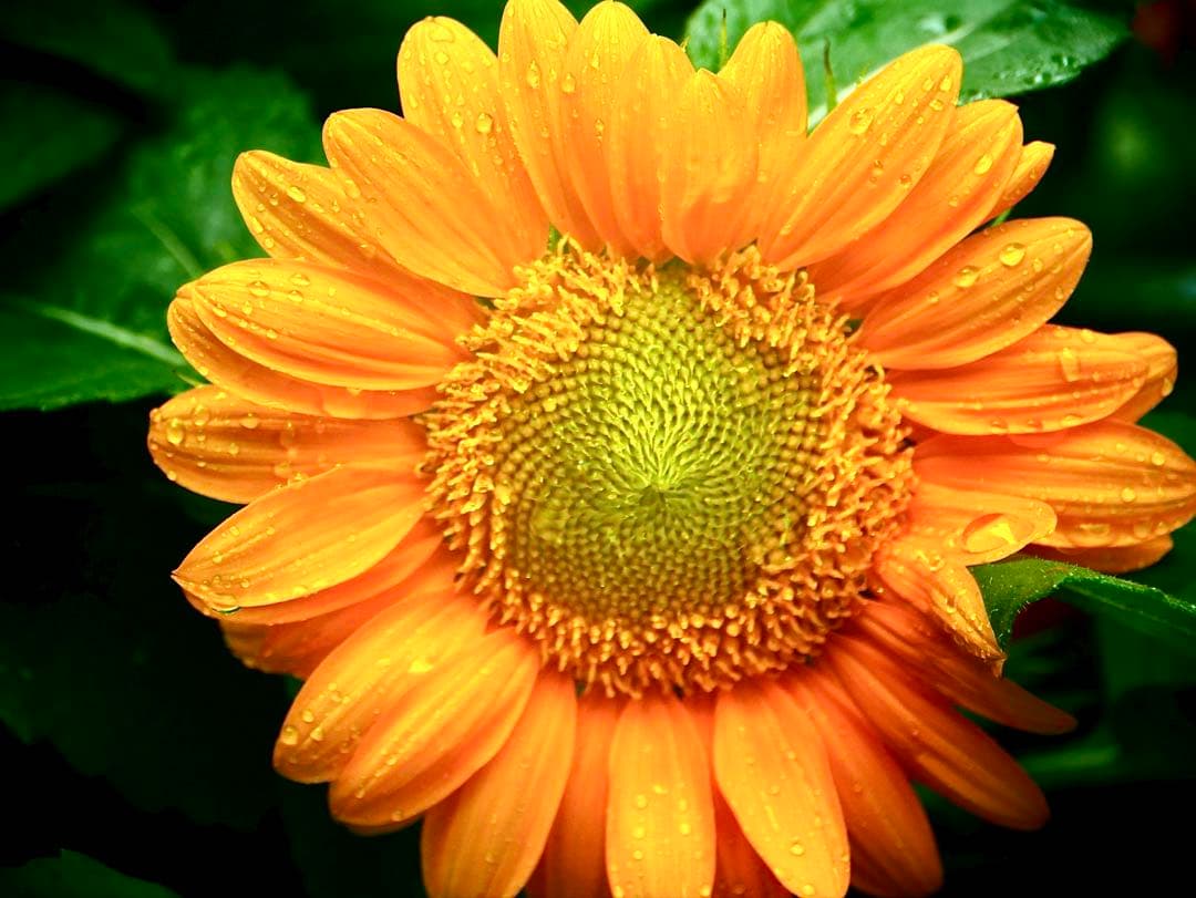 LUMIX 望遠レンズ 35-100mm H-FS35100 パナソニック未使用