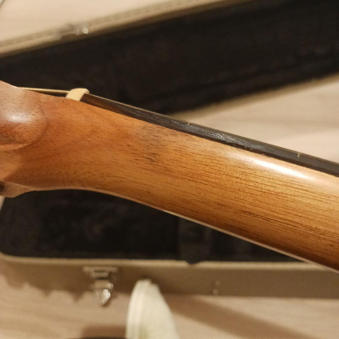 Cole Clark FL2AC　アコースティックギター