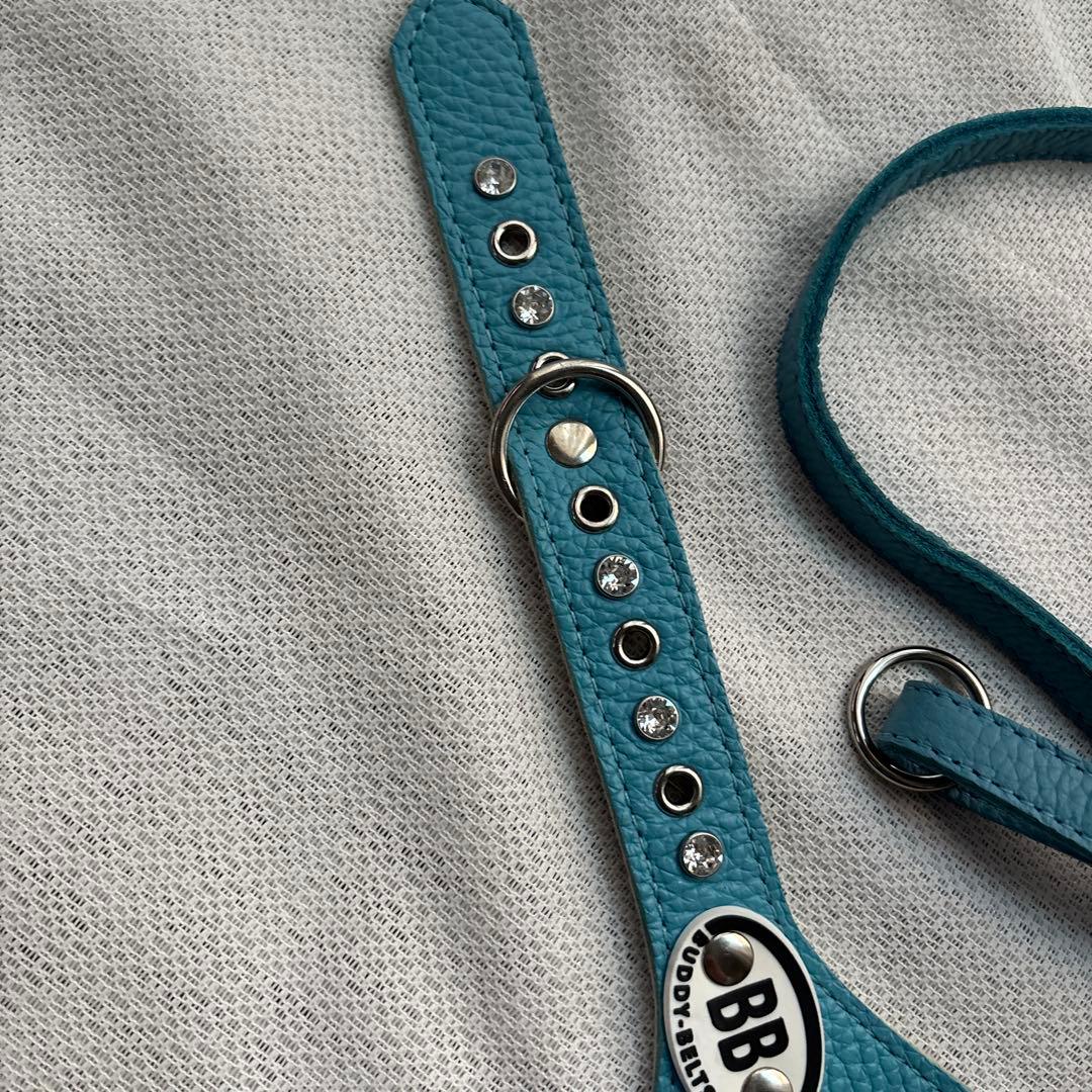 美品バディーベルト&レザーリードセット