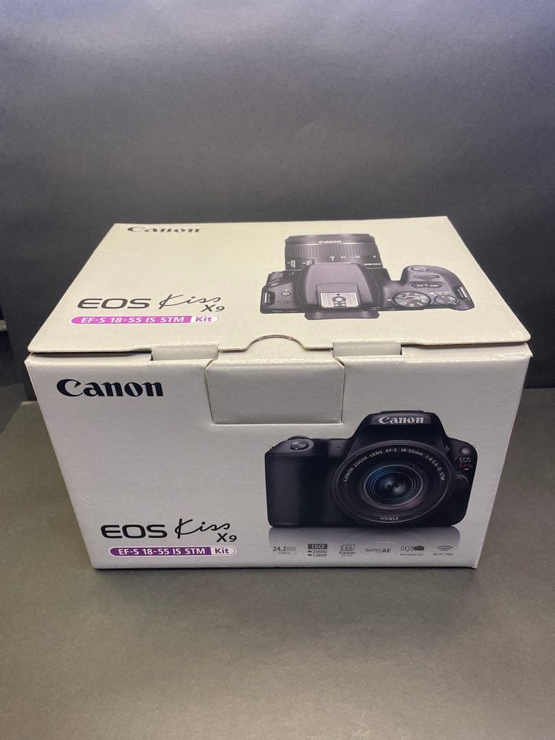 Canon EOS Kiss X9 レンズ2本付きセット