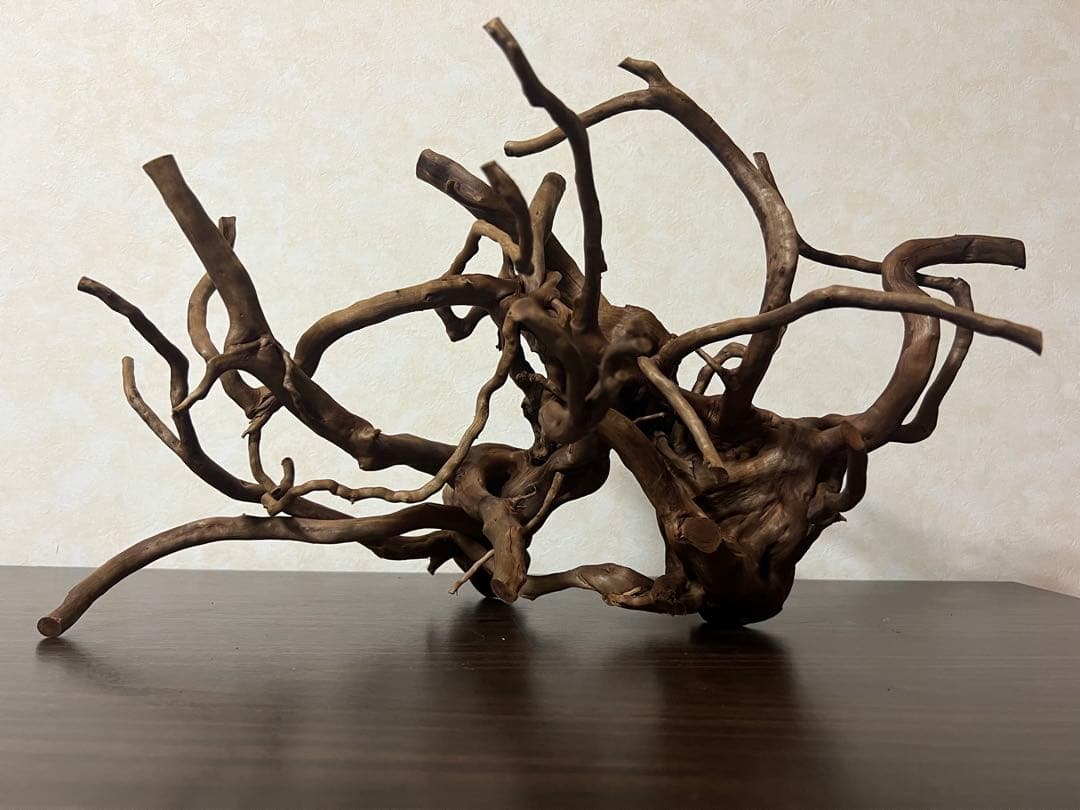 32205 ブランチウッド　流木　アクアリウム 沈水確認済