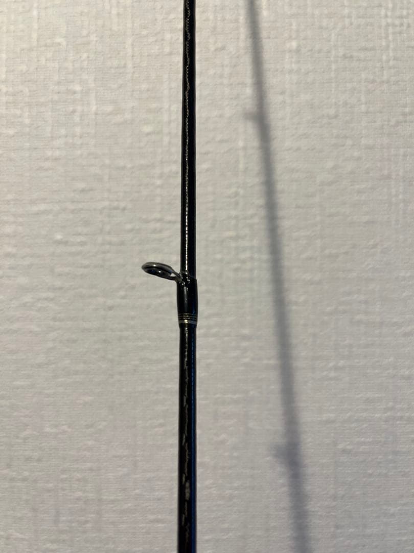 ポイズン　グロリアス　ロッド2本セット