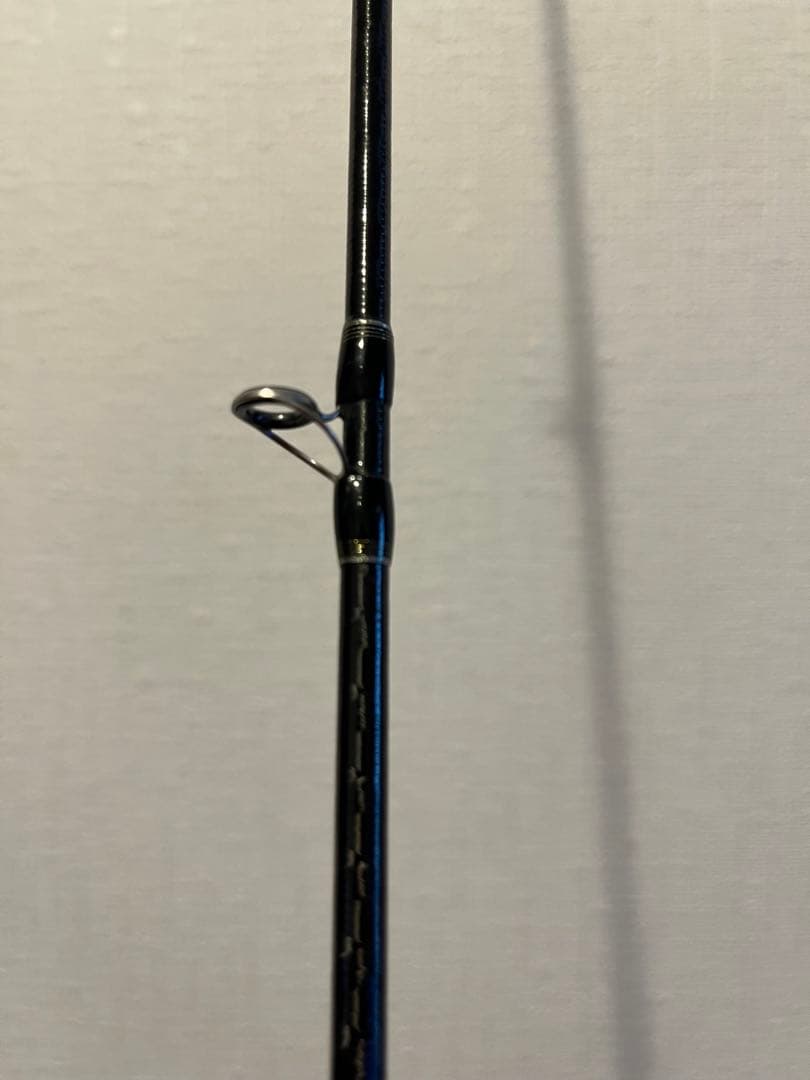 ポイズン　グロリアス　ロッド2本セット