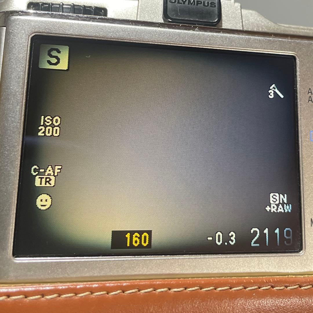 【訳あり・説明必読】OLYMPUSデジカメE-P2 レンズ・レザーホルダー付