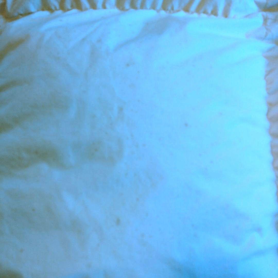 ダウン95%　羽毛布団ダブル 1