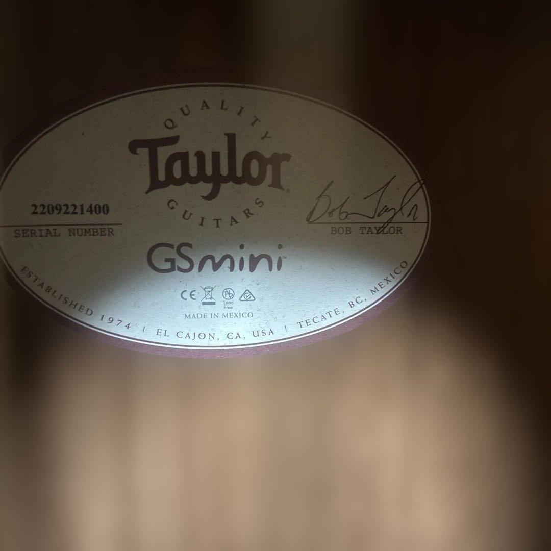 ギター Taylor GS Mini Rosewood