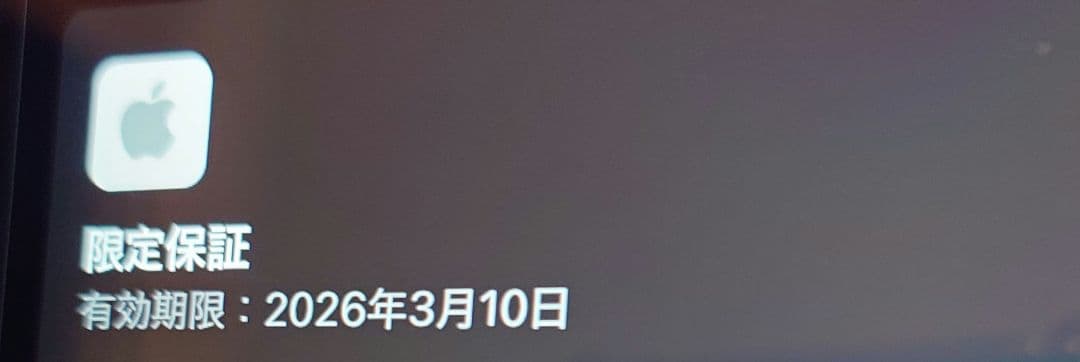 【さとう】保証有美品 iPad 第9世代 256GB +Pencilセット