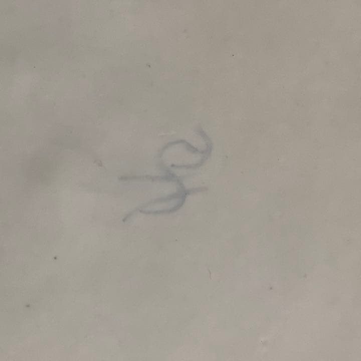 絵皿プレート アンティーク ビンテージ フランス