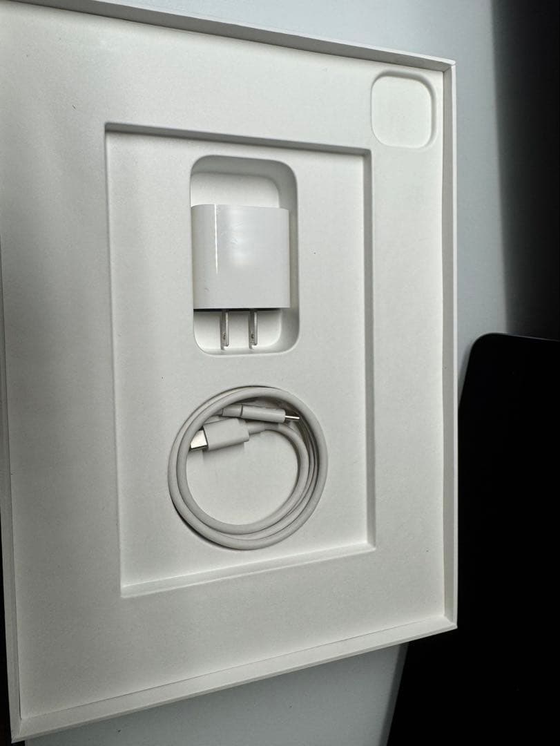 iPad pro 11インチ 第4世代 128GB