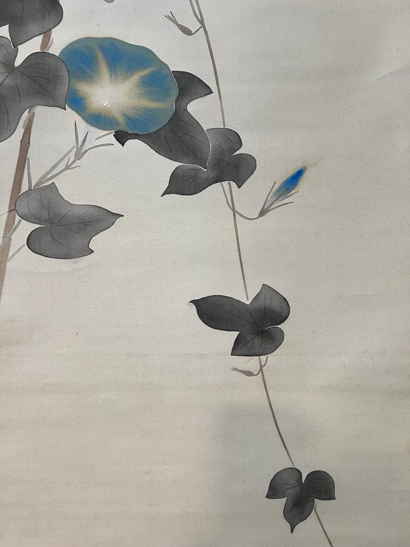 掛け軸　日本画 安田靫彦［朝顔］絹本　木箱！