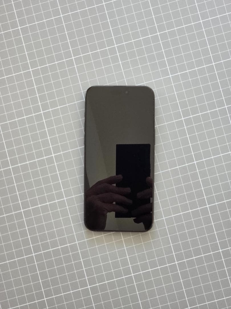 iPhone 15 Pro Max 256GB US版／SIMフリー