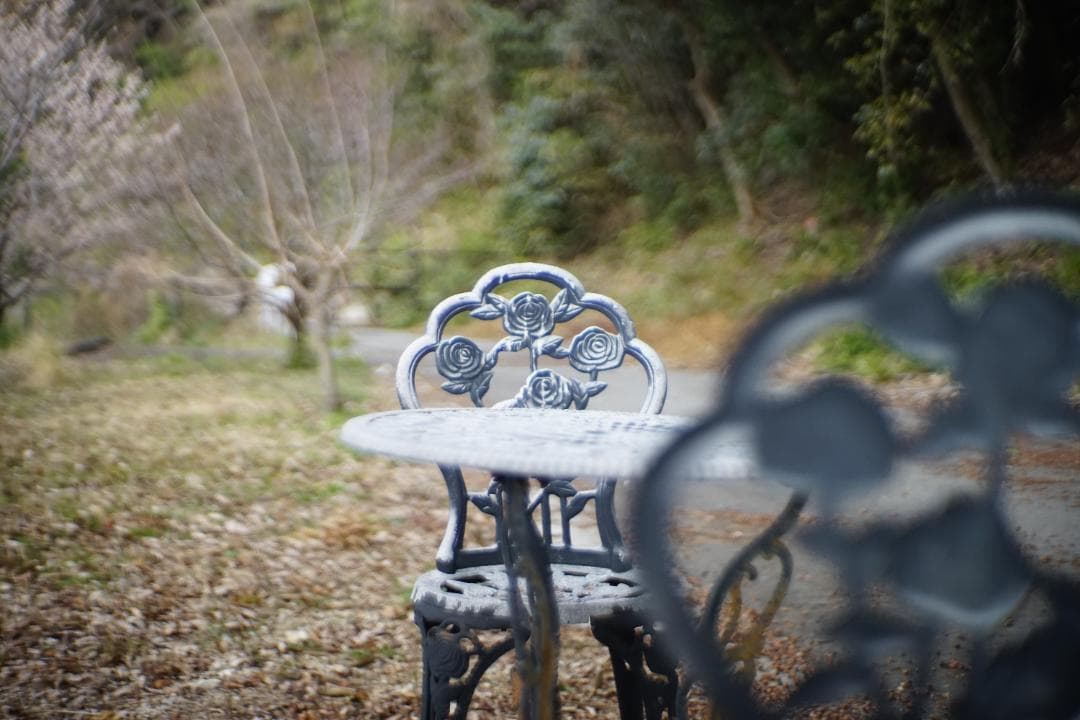 フィルムカメラ ZEISS IKON Contax IIIa /Sonnar 50mm F1.5