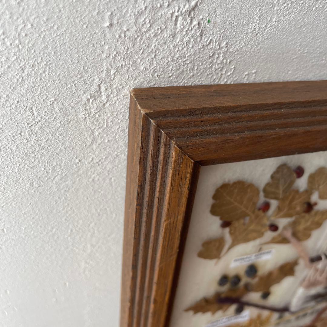 ネイティブアメリカン ナバホ族 草木染め 色見本 オルテガ 毛織物 額装 木製