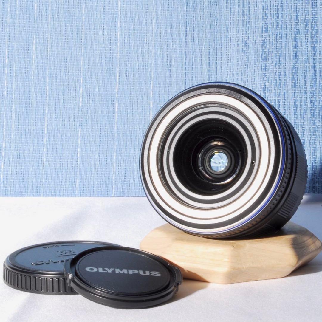 初心者向け✨Olympus PEN E-PL1 ミラーレスカメラ ✨スマホ転送