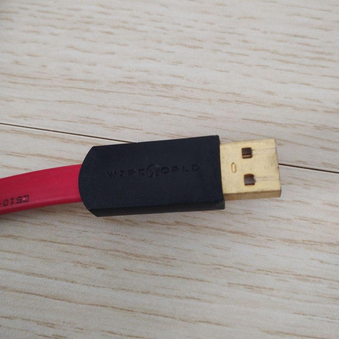 WIREWORLD STARLIGHT USB2.0 オーディオケーブル 3m
