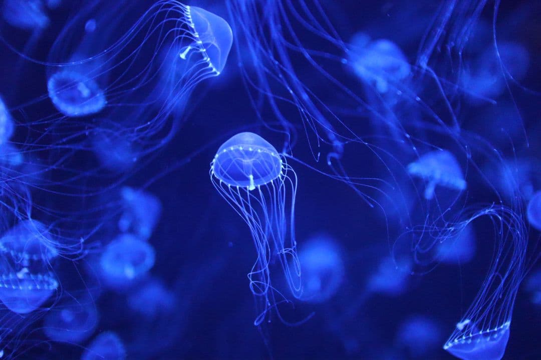 Canon EOS kissM 標準ズームレンズキット