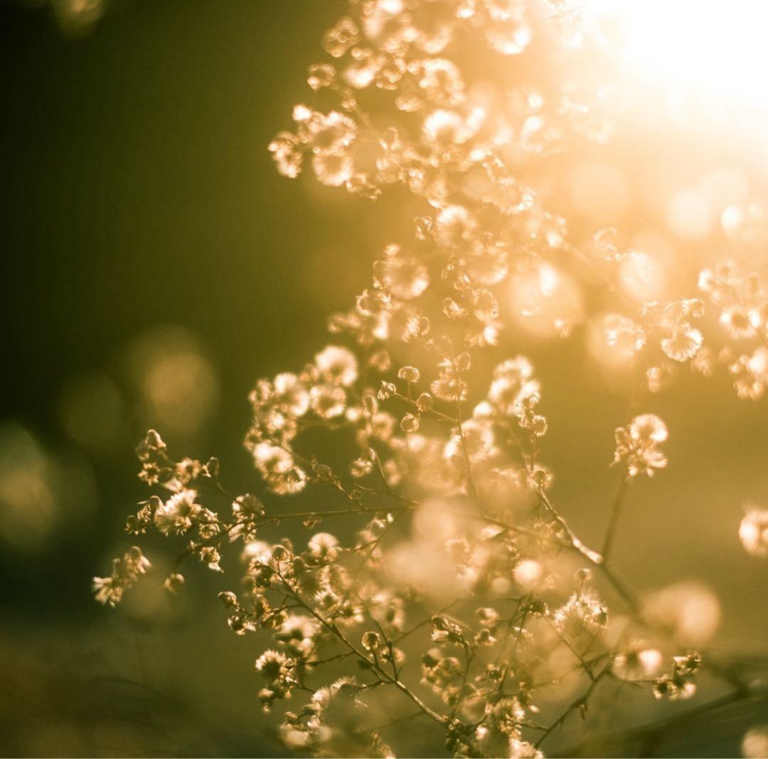 Super Takumar 55mm f1.8【M42】【最上級虹色フレア】希少