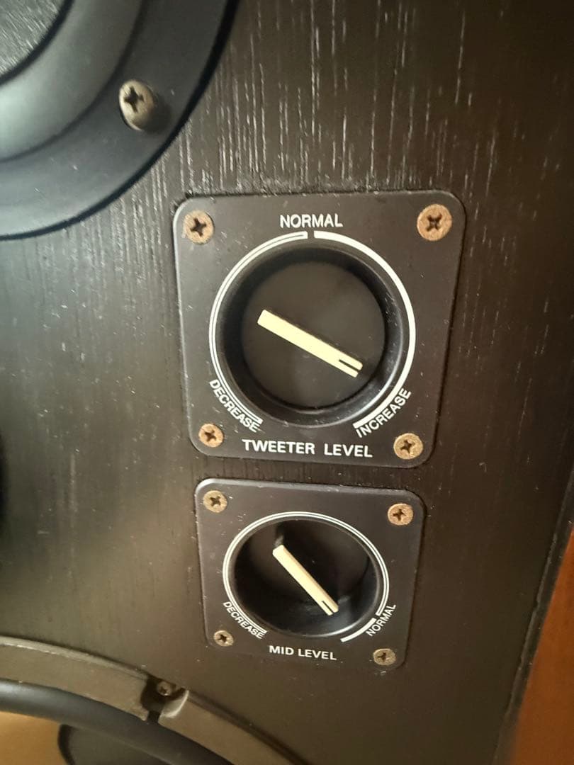 【レア・ヴィンテージ】SONY CARBOCON SS-5050 スピーカーペア