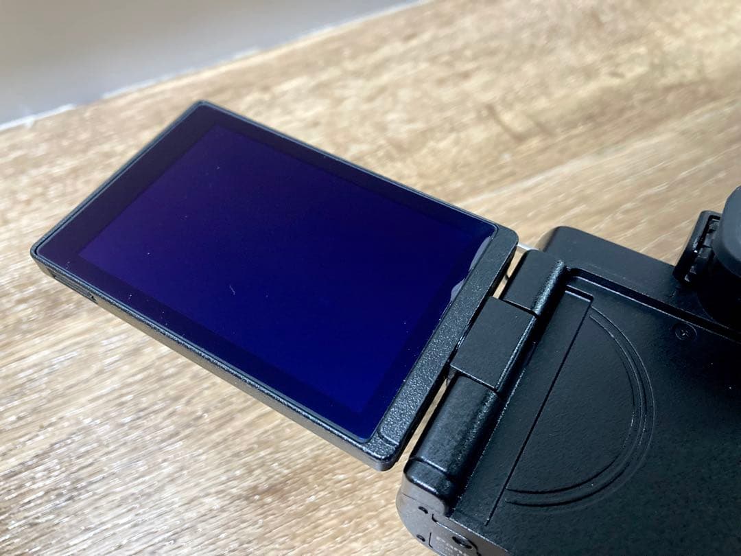 LUMIX DC-G100D 標準ズームレンズキット おまけ多数【中古美品】