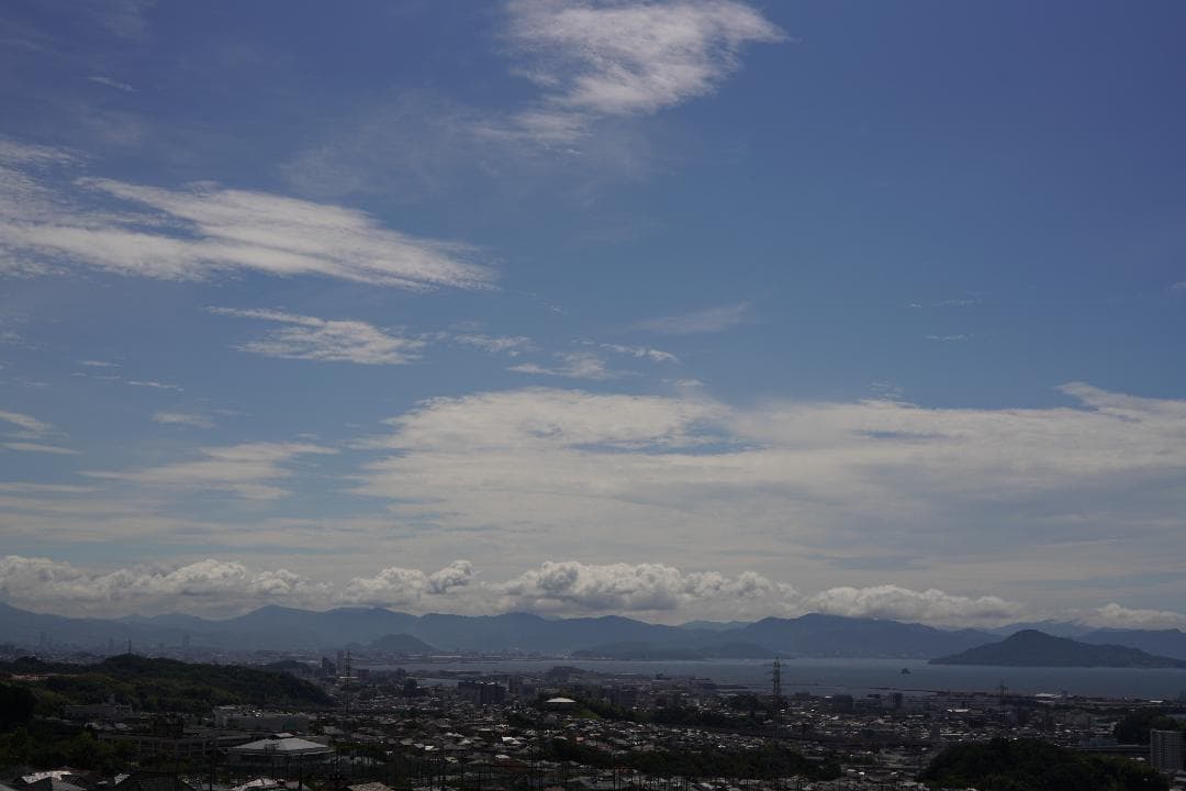 動作⚪︎ Canon 7 / CANON LENS 50mm F1.8