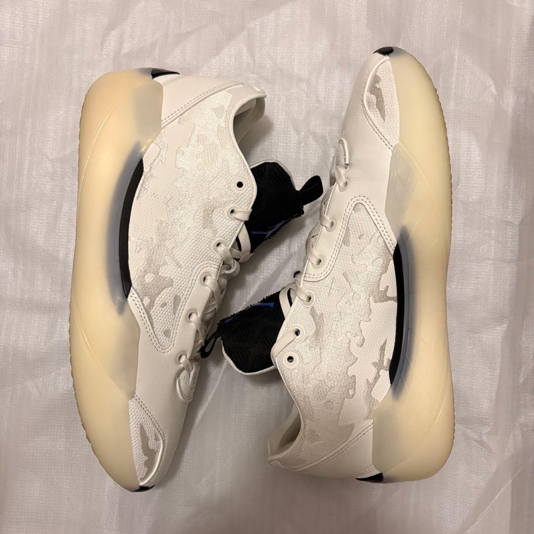 シューズ(男性用) Nike Air Jordan 39 29cm