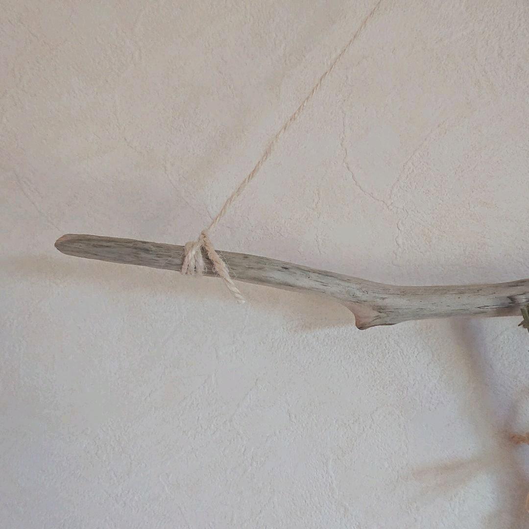 流木インテリアハンガーno.51