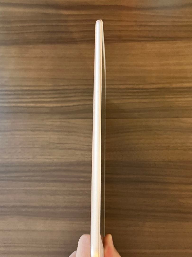 【美品】iPad 第6世代 ゴールド 本体 充電器・カバー付 Wi-Fiモデル