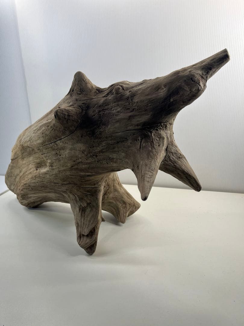 V68特大流木 アク抜き済み流木 爬虫類シェルター 登り木 インテリア 生け花