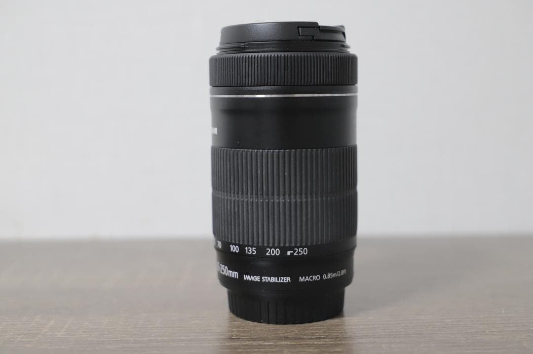 Canon EF-S 55-250mm f/4-5.6 IS STM　美品