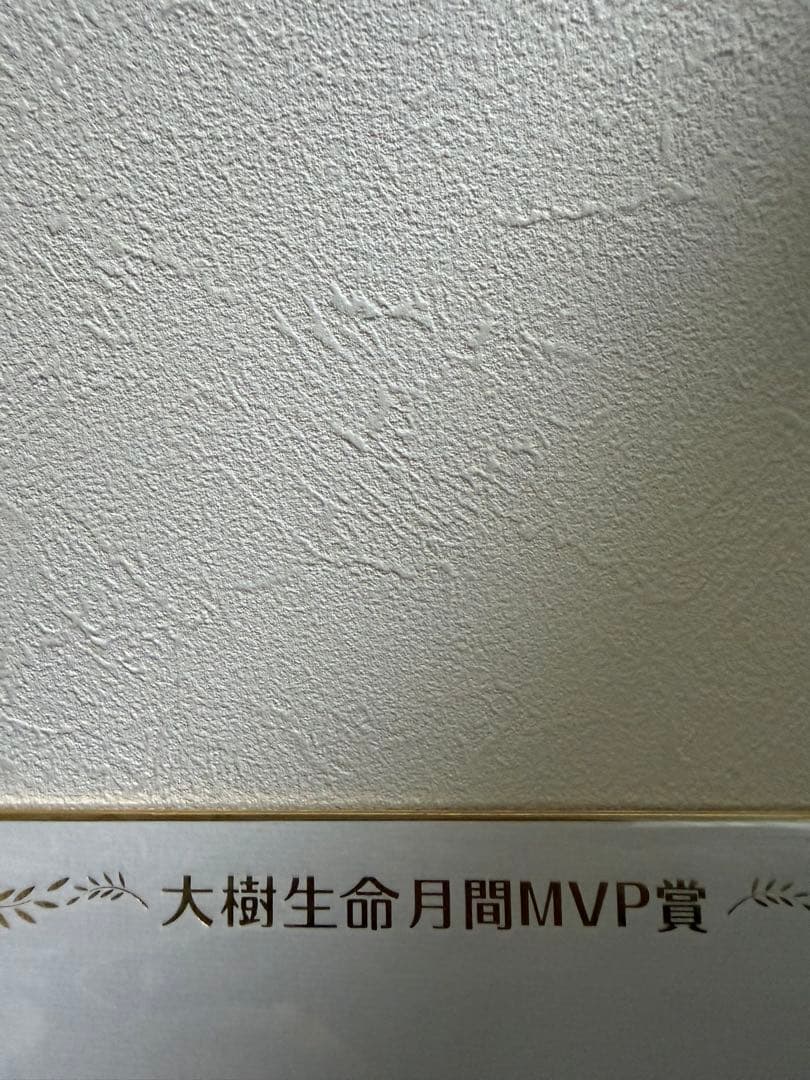 ソフトバンクホークス　モイネロ選手　色紙