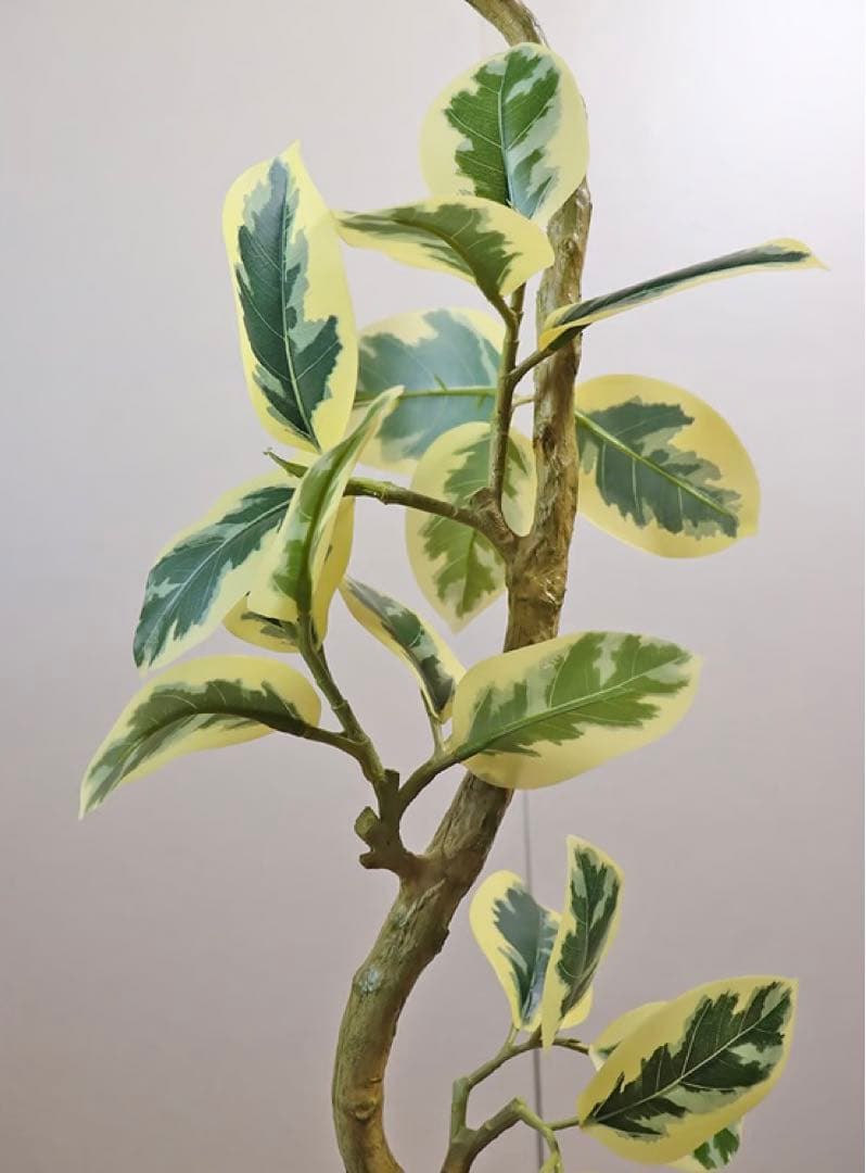 光触媒　人工観葉植物　ウォールグリーン　フェイクグリーン　ツイストアルテシマaj