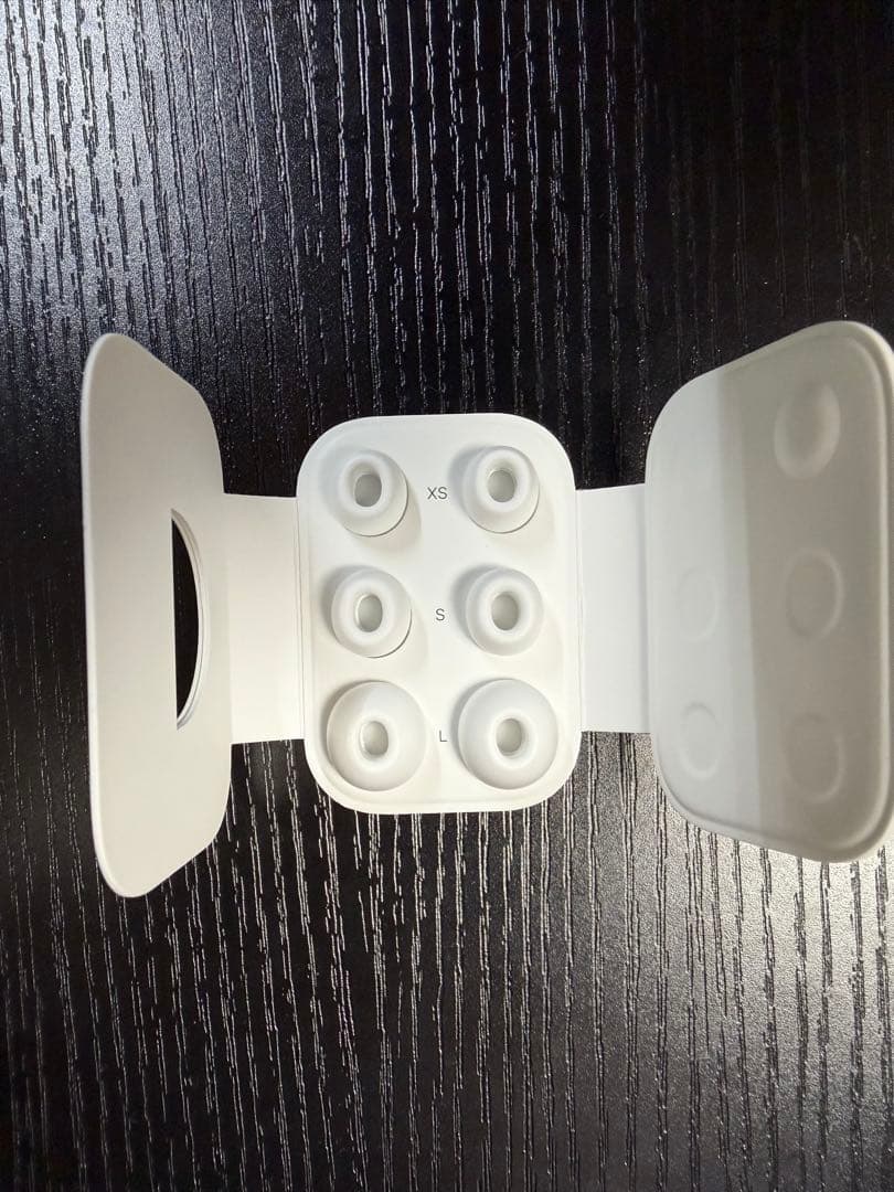 AirPods Pro２ Lightning　Aulumu A19 ケース